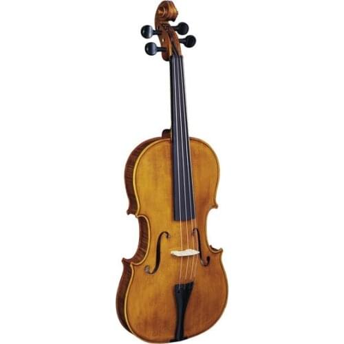 Strunal Musical Instruments