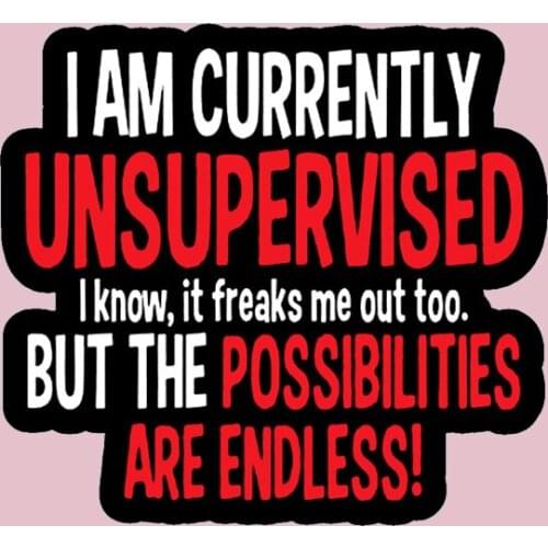 I Am Currently Unsupervised, I Know but the Possibilities Are Endless Enamel Brooch Pins Badge Lapel Pins Brooches Jewelry