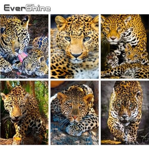 Evershine Full Square Diamond Painting Leopard Animals Diamond Embroidery Cross Stitch Rhinestone Mosaic Home Decoration