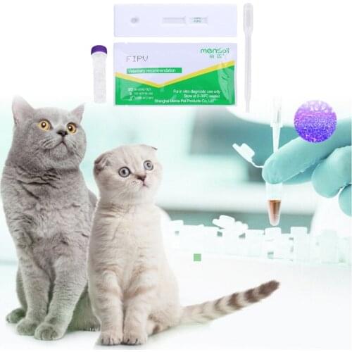 Professional Cat Detection Paper FIPV Infectious Peritonitis Test Card Pet Health Care Cat Supplies