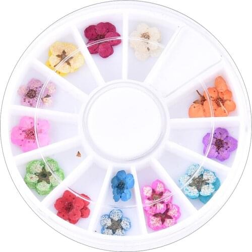 Dried Flowers Leaf 3D Dry Beauty Nail Art Decals UV Gel Polish Manicure Nail Decoration Natural Floral Sticker Japanese Style