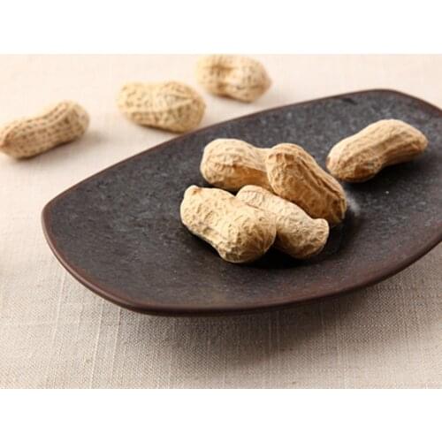 20pieces Handmade Porcelain 2010 Gift weiwei Ceramic peanut Seeds status sculpture tea accessories decoration