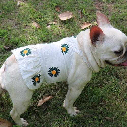 Cat Dog Skirt Summer Pet Dress Puppy Costume Yorkshire Terrier Yorkies Pomeranian Poodle Bichon maltese Dog Clothing Pet Clothes