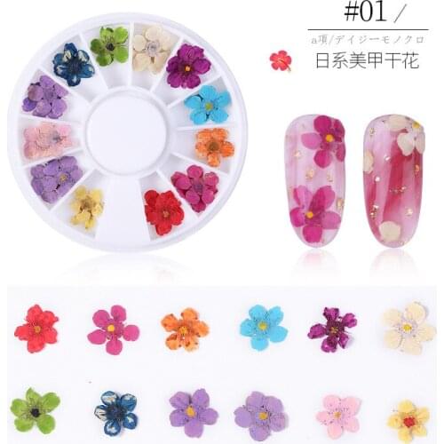 1 Box 3D Dried Flower Nail Decoration Natural Floral Sticker Mixed Dry Flower DIY Nail Art Decals Jewelry UV Gel Polish Manicure