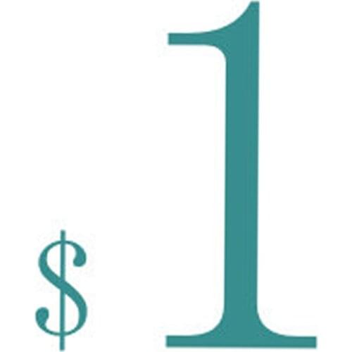 Order agreement fee, dedicated freight link, offset difference, postal airmail / DHL EMS shipping fee