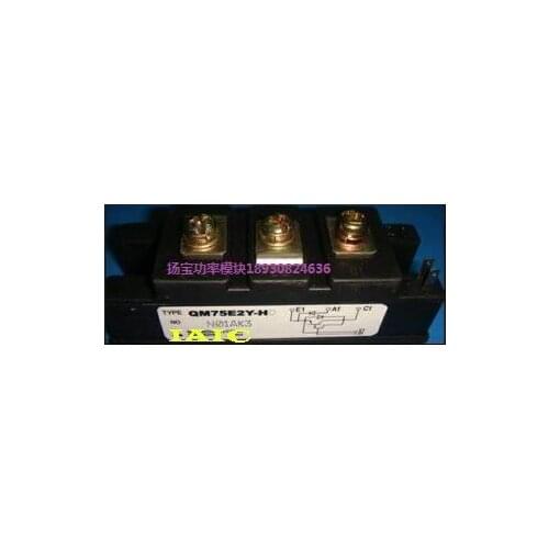 100%New and original, 90 days warranty QM75E2Y-H