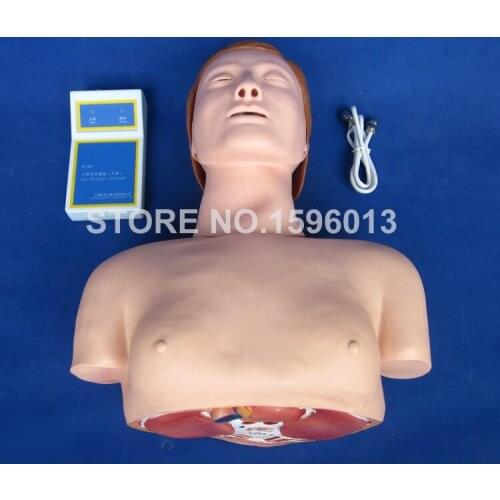 Economic Half Body CPR Training Manikin, First Aid CPR Model with Controller