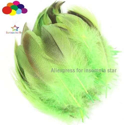 Fruit green Duck Feather Real Dyed Duck pheasant feathers halloween 100 pcs girls feather hair eccasery asian supplies