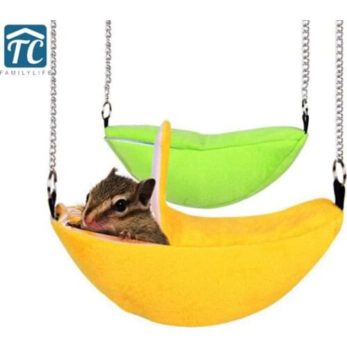 WITFAMILY Pet Supplies