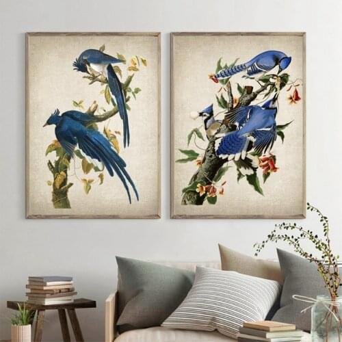 Columbia Vintage Bird Illustration Posters And Prints Canvas Painting Blue Bird Wall Art Pictures for Living Home Room Decor