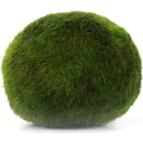 1pcs Diameter 3-4cm Really Living Green Algal Bulb Small Ball Aquarium Shrimp Fish Tank Landscape Foreground Grass Decoration