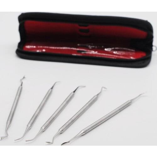 Dentistry Item Hygiene Tools Stainless Steel Tooth Pick Pic Probe Set Kit 5Pcs