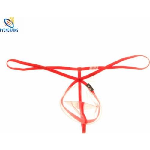 Bikini 2017 Man Gay Underwear Thongs Male Fashion Super Sexy Sheer Mens Thongs Mens Thongs Underpants Jockstrap Cueca Gay