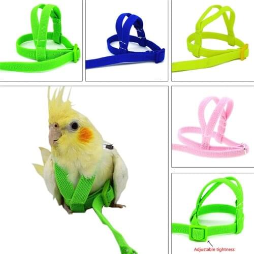 2m Anti Bite Flying Training Rope Bird Parrot Leash Ultralight Harnesses Leash Portable Soft Band Pet Bird Supplies C42