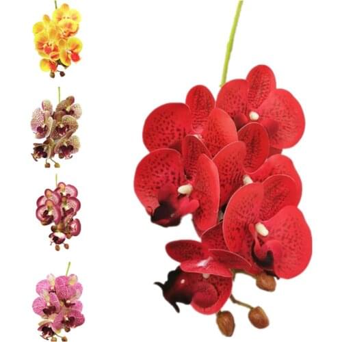 One Real Touch Butterfly Orchid 6 Heads Latex Artificial Phalaenopsis Orchid for Home Floral Decoration