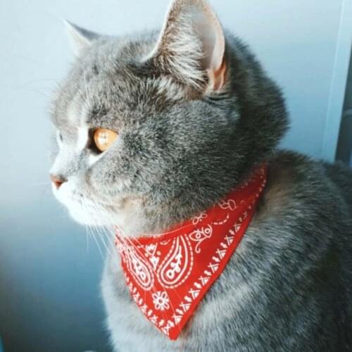 Dogs Collar and Cat collar Cute Adjustable Pet dogs Scarf Pattern Flower Cat Necklace Scarf Bib Pet Supplies Pet Decoration