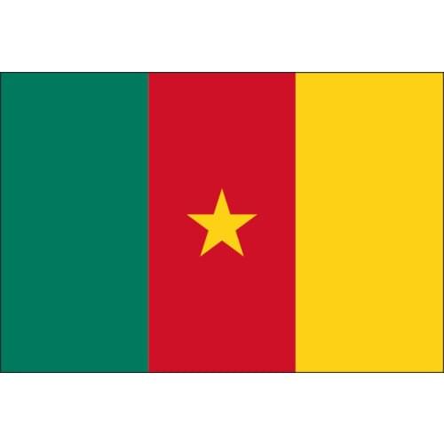Free shipping xvggdg 90 x 150cm Cameroon flag Banner Hanging National flags Cameroon banner