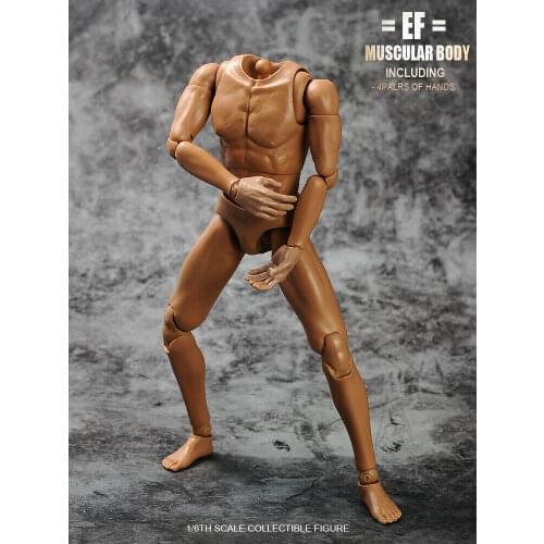 1/6 Scale Male Muscular Body TQ230/ TQ220 Model For 12" Action Figure Body Accessories