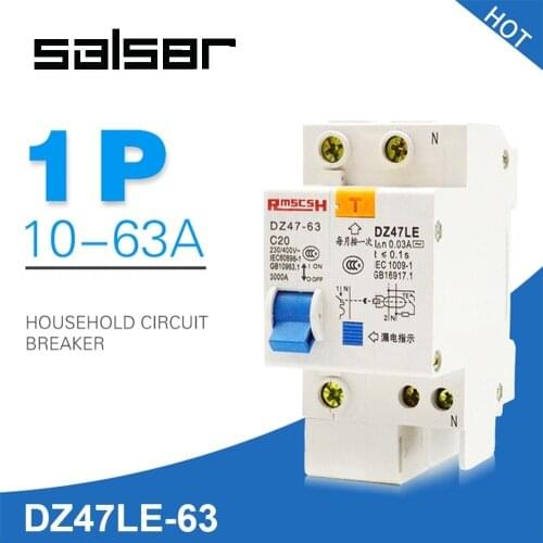 DZ47LE-63 1P+N Mini Circuit Breaker Small-sized Electric Leakage Protect air Cutout Breaker Switch Chopper MCB C20