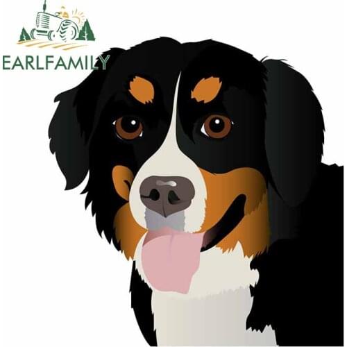 EARLFAMILY 13cm x 12.2cm For Border Collie Creative Car Sticker Sunscreen Decal Waterproof Motorcycle Decals Decoration