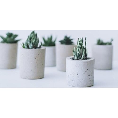 Home Decoration Accessories Simulation Green Plants Desktop Mini Potted Plants Cactus Succulent Artificial Flowers Creative