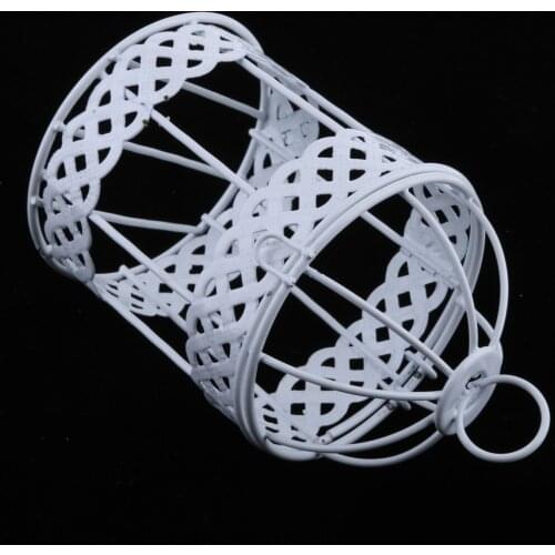 Rustic Romantic Iron Frame Birdcage Shape Succulent Pot ing Pot 7.5cm