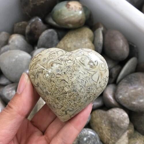 Dinosaur Bone Fossil Heart Natural Fossil Stone Smooth Polished Pebble Reiki Healing Chakra Stone Home Decoration