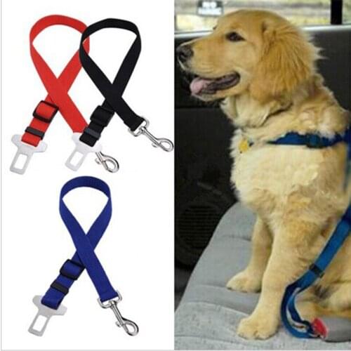 Поводки для собак DOORSACCERY China At AliExpress