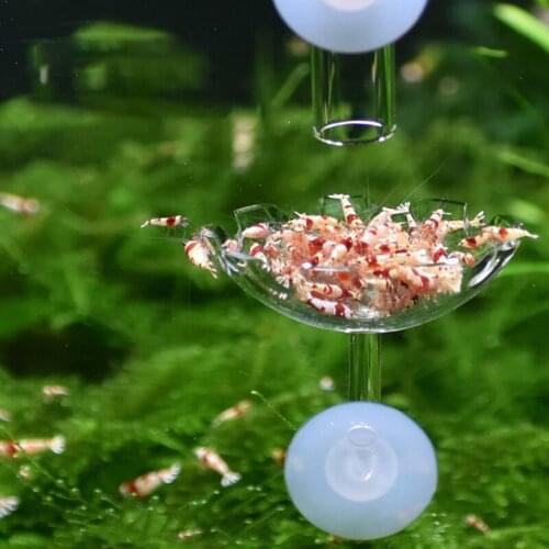 Aquarium Clear Acrylic Flower Shape Shrimp Feeding Feeder Dish Food Basin with Suction Cup