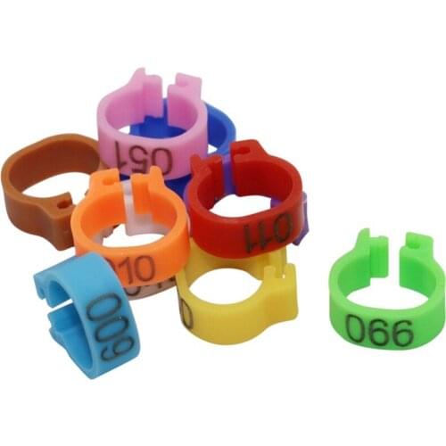 100 Pcs/set Inner Pigeon Leg Poultry Dove Bird Parrot Clip Rings Band Foot Ring Pigeon Supplies Bird Appliances bird accessories