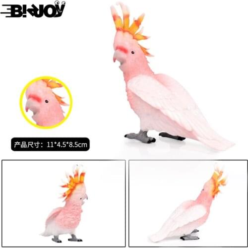 Childrens Solid Simulation Animal World Bird Model Cockatoo Decorative Ornament Hand-made Model Toy