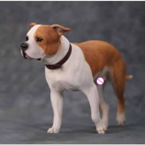 1/6 Scale Animal Pet dog Kids Model American Simulated Staffordshire Terrier Kids Toys For 12' Figure Scene Accessorie display