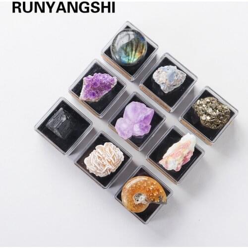 Natural crystal raw stone ore standard energy box Fossil specimen collection for Childrens teaching gifts