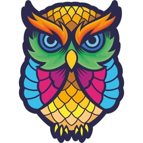 Colorful Owl Sticker Plane Extreme