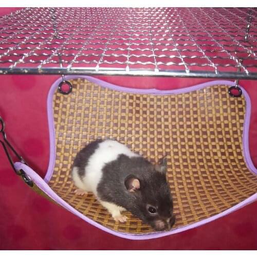 Rattan Nest For Hamster Squirrel Honey Glider Guinea Pig Pet Canvas Hammock