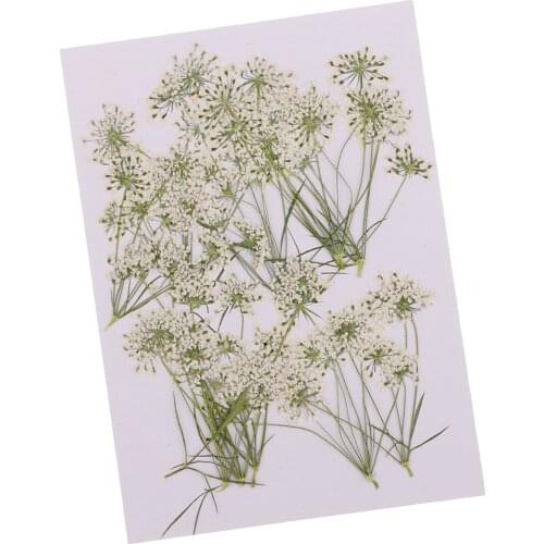 10 Pieces Lace Flower Dried Flowers Embellishments for DIY Phone Case Decoration DIY Specimen Craft Handmade Resin Ornaments