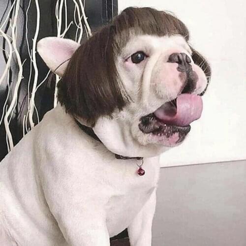 Funny Clothes For Cat Costume Hair Wig Cap Dog Costumes for Small Dog Wigs Christmas Pet Halloween Headdresses