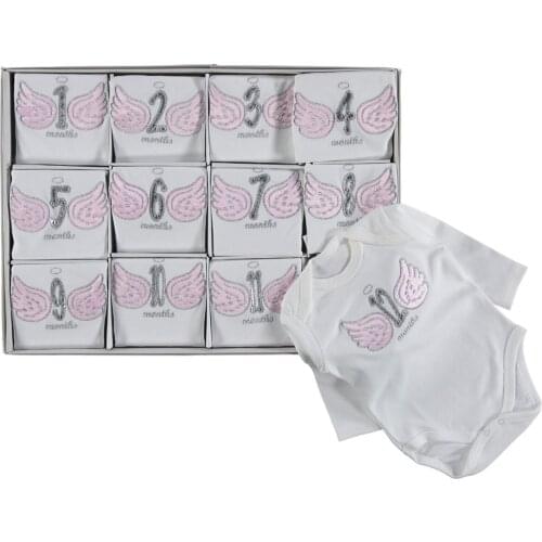 Angel Wing Stone Digit Each Aya Special 12'li Girl Baby The Zibin Set-pink