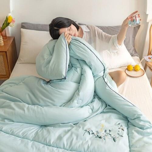 Cotton Comforter The Quilt Core Velvet Thickening Warm Winter Quilt King Size Blankets