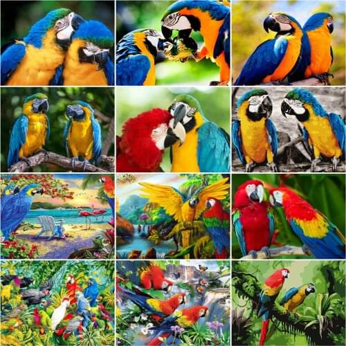 HUACAN Painting By Number Parrot Drawing On Canvas HandPainted Paint Art Gift DIY Coloring By Number Animal Kits Home Decor