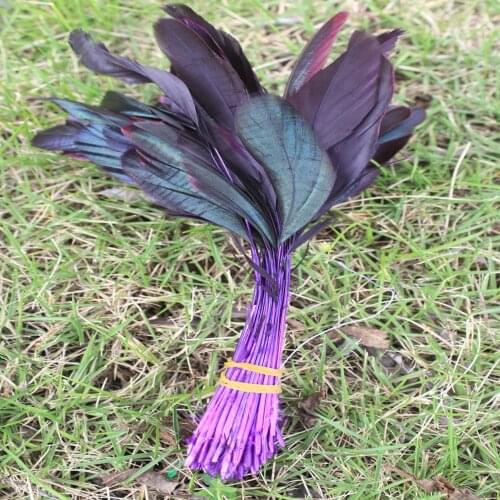 Beautiful 10pcs 5-7 inch/12-18cm purple rooster feathers Clothing jewelry Headwear Christmas Holiday Decorative Feathers