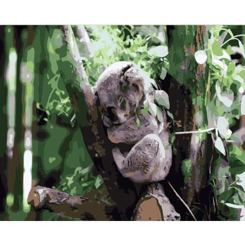 Unframe Oil Painting By Numbers Animal DIY Unique Gift Acrylic Paint On Canvas Drawing By Number Koala Home Decoration