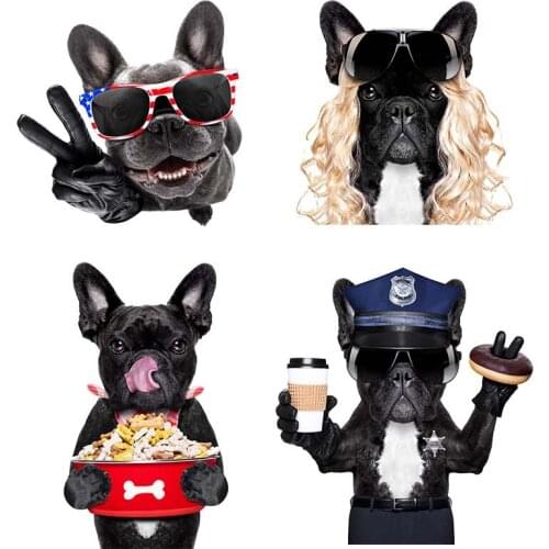 Bulldogs DIY Patches On Cloths Iron On Heat Transfer Printing Stickers For Clothes T-shirt Appliques Washable