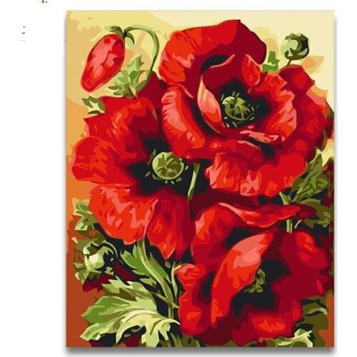 Red pink beautiful poppies oil painting package diy pictures coloring draw by numbers with kits for adult kids paint frame
