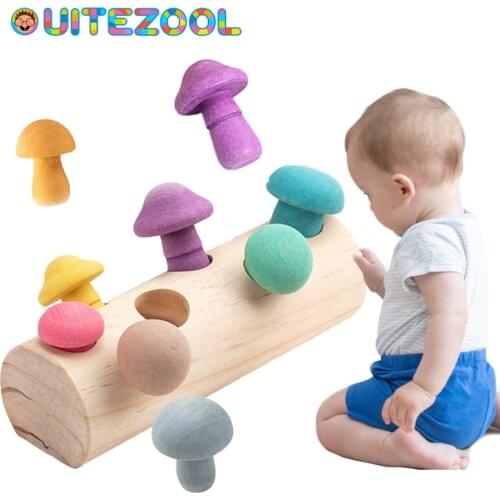Montessori toy set wooden toys baby Mushroom picking shape matching size cognitive puzzle children wooden baby toys