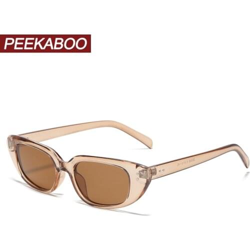 Peekaboo rivet retro sunglasses small women brown black uv400 hot selling female sun glasses square men cheap dropshipping