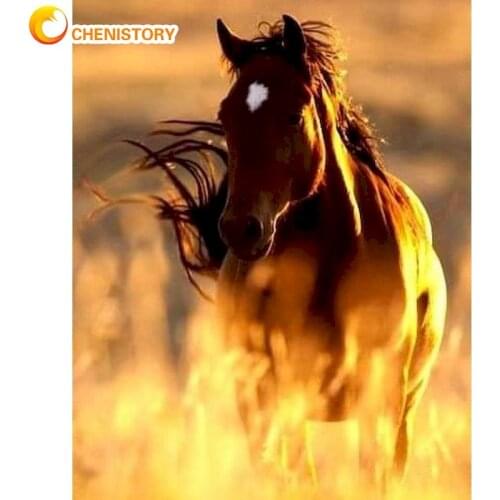 CHENISTORY Paint By Numbers For Adults 40x50cm Framed Horse Animal Picture By Number 40x50cm Framed Home Bedroom Artcrafts