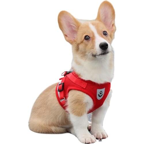 Dog Chest Strap Burden Reduction Strong Adhesive Burrs Anti-Fall OFF Double Safety Alloy Fasteners Small Medium PETS Suitabale