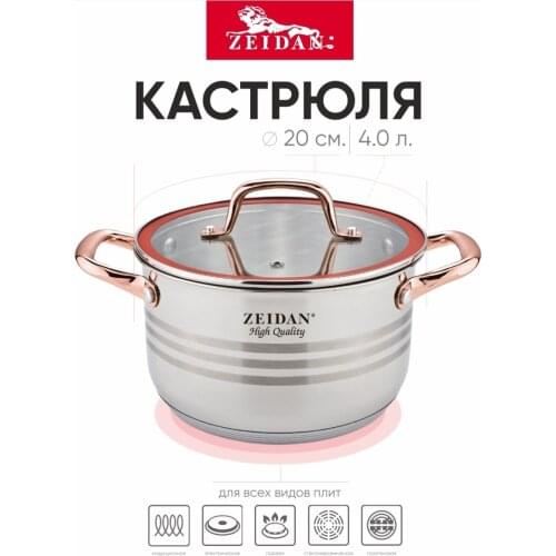 Zeidan Glass Electric Kettles