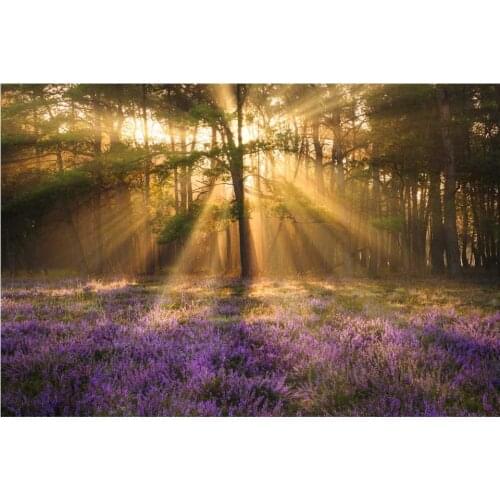 DIY Diamond Painting 3D scenery Fresh woods Square Round Drill Diamond Embroidery Mosaic Living Home Decoration Cross stitch